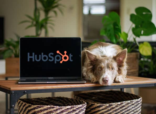 Dog next to computer
